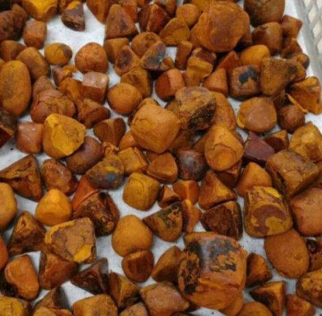 Buy-Ox-Cow-Gallstones-02-600x517-1