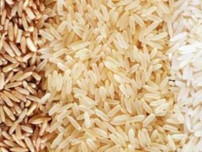 Rice-600x250-1