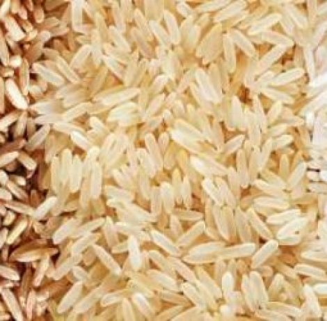 Rice-600x250-1