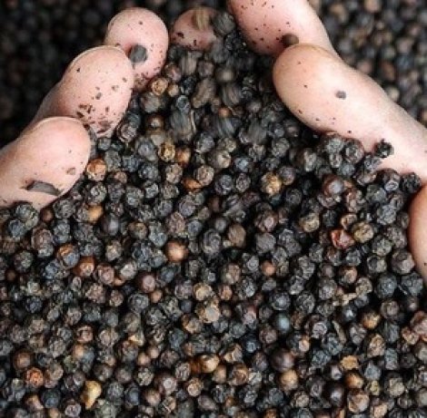 Whole-Black-Pepper-Wholesale