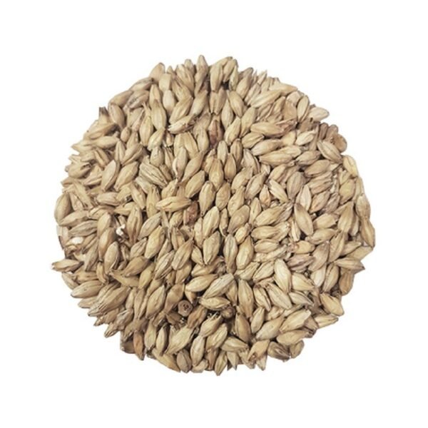 Whole Barley - Animal Feed, Organic