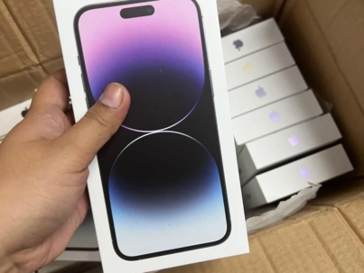 photo_2024-03-04_10-49-24